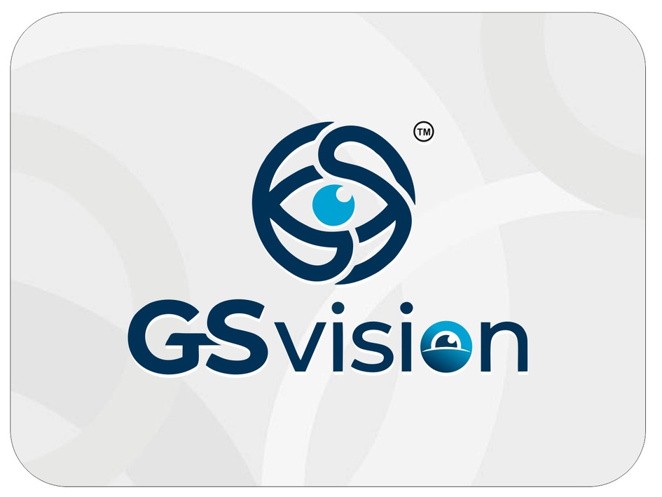 GS VISION